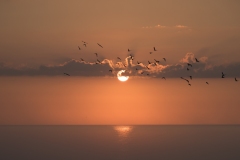 Sunrise in Ocean Grove NJ